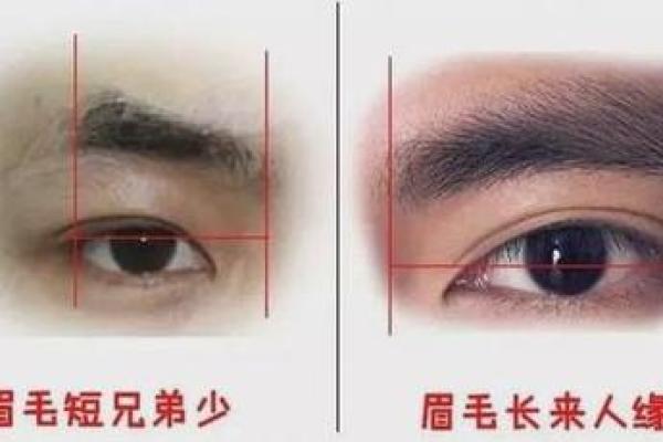 眉毛尾端细长,命运解读与性格特征分析 眉毛尾端细长,命运解读与性格特征分析