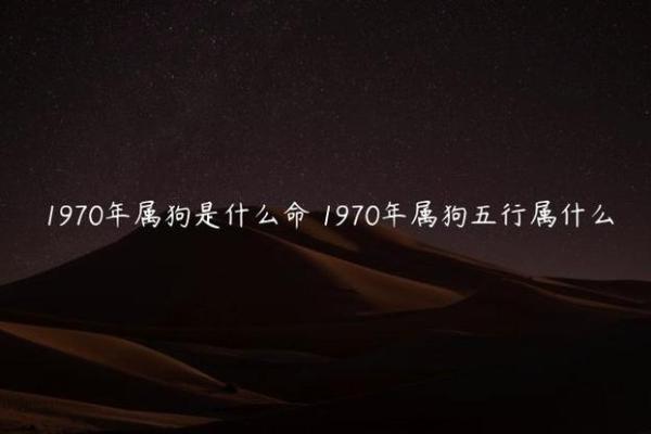六年狗八年鸡命理分析:揭示命运背后的秘密 六年狗八年鸡命理分析:揭示命运背后的秘密