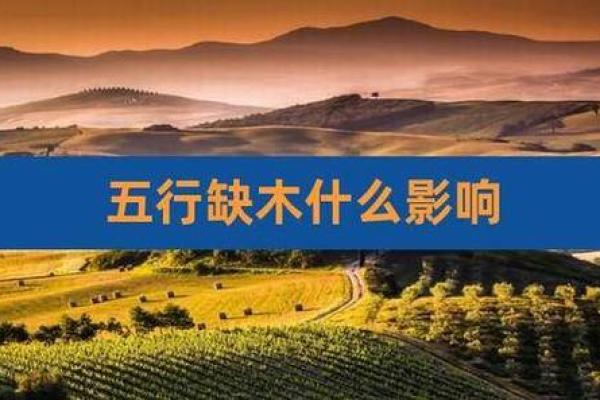 为缺土缺木的男孩起名:平衡命理与美好愿景之道 为缺土缺木的男孩起名:平衡命理与美好愿景之道