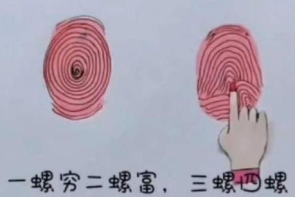 没有一个簸箕是什么命格?揭示你与众不同的命运密码! 没有一个簸箕是什么命格?揭示你与众不同的命运密码!