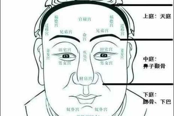 农历三月出生的人命格解析:深度解读与人生运势 农历三月出生的人命格解析:深度解读与人生运势