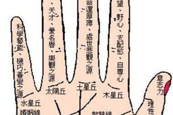 平地命木命解析:探索个性与命运的交织之美 平地命木命解析:探索个性与命运的交织之美
