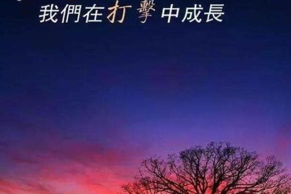 李龙命理揭秘:01年出生的他将如何应对人生挑战与机遇 李龙命理揭秘:01年出生的他将如何应对人生挑战与机遇