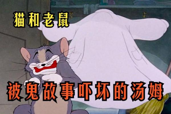 猫的九条命:神秘传说背后的深意与启示 猫的九条命:神秘传说背后的深意与启示