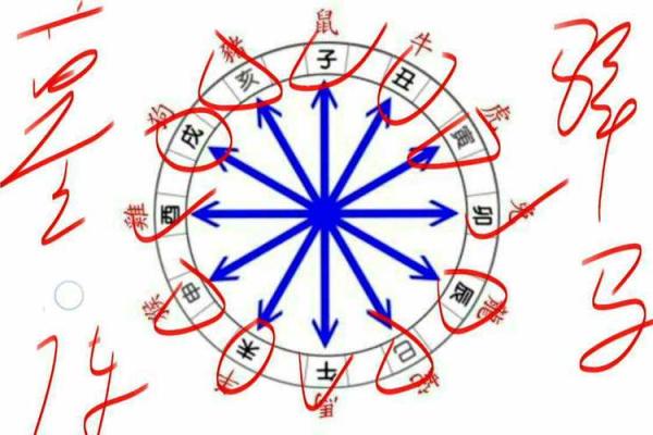 探寻命理奥秘:下一个十天的运势与指引 探寻命理奥秘:下一个十天的运势与指引