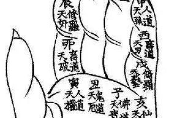 探寻命理奥秘:下一个十天的运势与指引 探寻命理奥秘:下一个十天的运势与指引