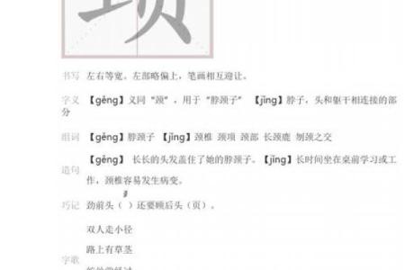 探索“命”的深意：拼音、组词与人生哲学的完美融合
