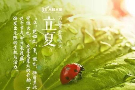 路旁土命立夏戴什么？教你找到专属的护身符！