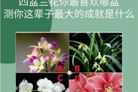 揭密女命最可怕的八字！让你的人生运势大起大落，别轻视！