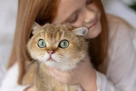 猫姐揭秘：为什么传说中猫有九条命？