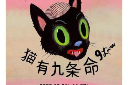 揭秘“猫有九条命”传说背后的神秘猫种！
