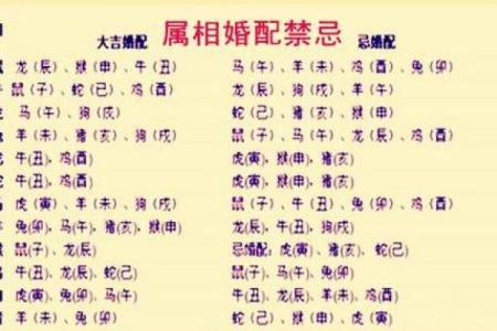 探秘龙老公与羊老婆的命理组合：缘分与性格的深度解析