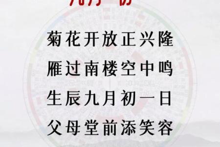 探索2024年八月七日的命运与运势分析