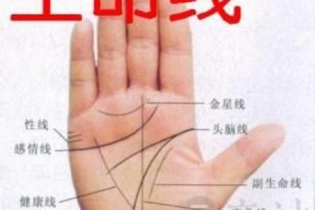 命理中的桃花运解析：探寻理想爱情的秘密