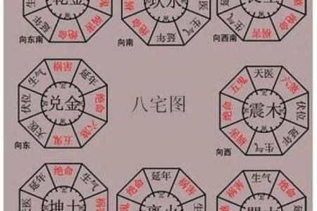 探秘命理学：东四命的深意与生活启示