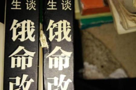 命里金命取名的艺术：助力人生的响亮之声