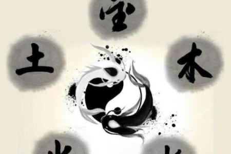 木命人五行缺什么？揭开五行之谜，助你追寻生命的平衡！