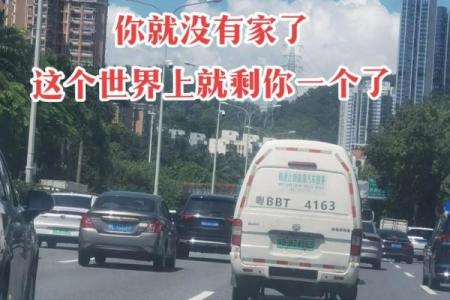没有父母的人是什么命：孤独中的成长与追寻
