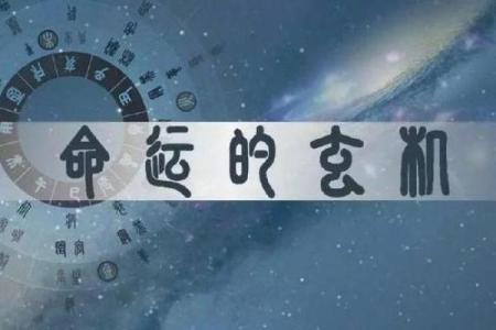 命弱与命硬：揭示你的命运密码与生活选择