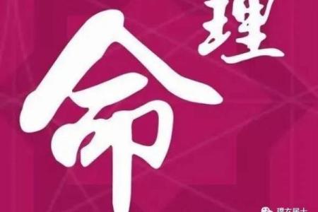 李鑫林命理解析：适合她的最佳命理搭配与人生指导