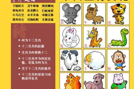 探寻九七年二月十九的命运密码：生肖与命理解析