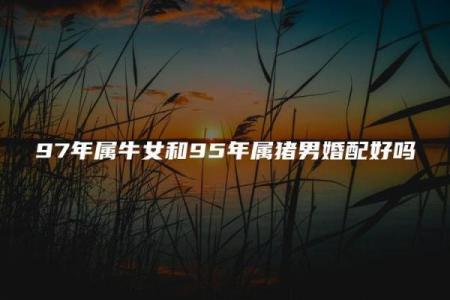 女命婚姻宫的深层含义与解读，揭示爱情与命运的奥秘