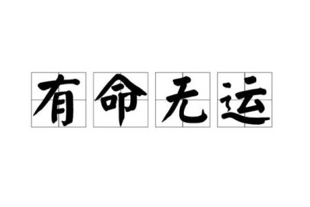 命运的桥梁：成语背后的深刻哲理与人生启示