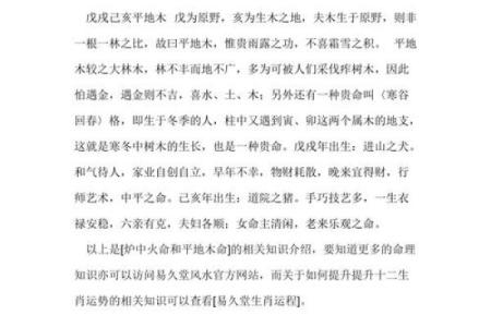 炉中火命人的项链选择：引领幸福与事业的秘诀
