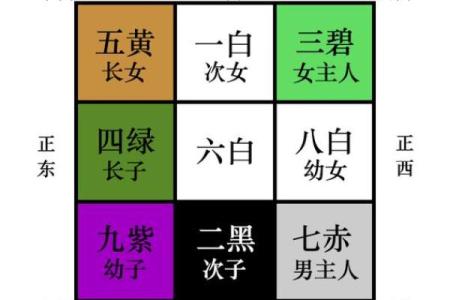 命局木火旺的特征及其对个人运势的影响解析