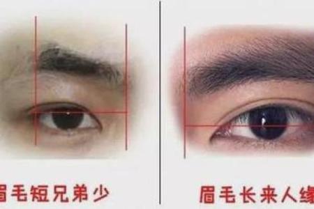 眉毛尾端细长，命运解读与性格特征分析