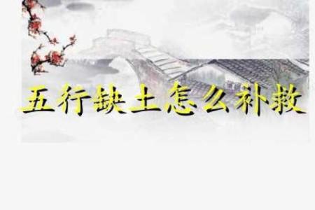 为缺土缺木的男孩起名：平衡命理与美好愿景之道