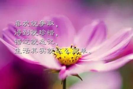揭秘命格生女的奥秘：如何对待命运中的女性能量