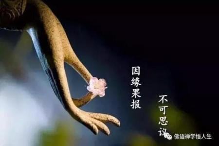 揭秘命带克夫煞星：佛教智慧与命理的结合之道