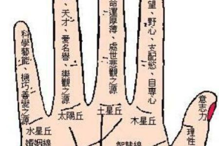 平地命木命解析：探索个性与命运的交织之美