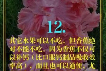 六一年的生肖与命运：揭示属牛人生活的秘密与魅力