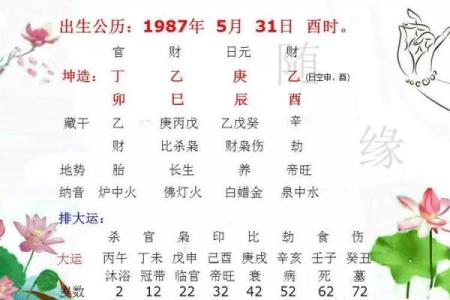 炉中火命与各命相配的奇妙探讨