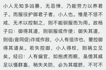命带七杀的人生旅程：挑战与成长的双重冒险