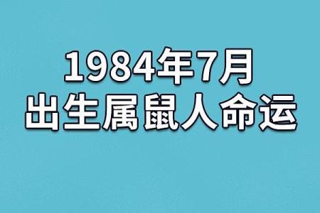 农历三月出生的鼠：命运与性格的奇妙探寻