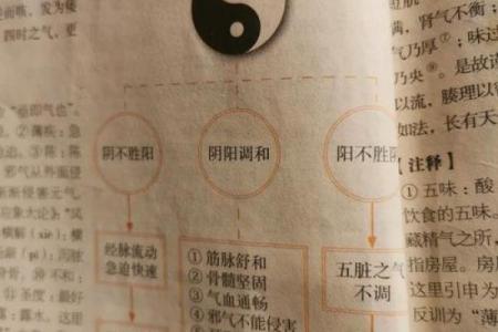 龙年正月的五行命理解析：揭示生命之道与运势的奥秘