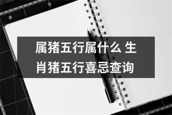 探索1996年属猪人的五行命理与性格特点 探索1996年属猪人的五行命理与性格特点