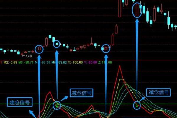 六月五号出生的人:命格解析与人生启示 六月五号出生的人:命格解析与人生启示