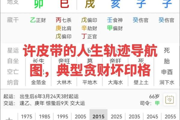 龙年出生者的八字命格解析:掌握命理,轻松导航人生 龙年出生者的八字命格解析:掌握命理,轻松导航人生