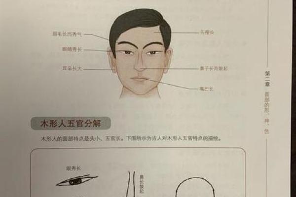 探索木命人的最佳搭配与生活指南,让你人生更加喜乐满满 探索木命人的最佳搭配与生活指南,让你人生更加喜乐满满