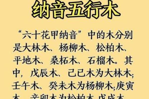 探索木命人的最佳搭配与生活指南,让你人生更加喜乐满满 探索木命人的最佳搭配与生活指南,让你人生更加喜乐满满