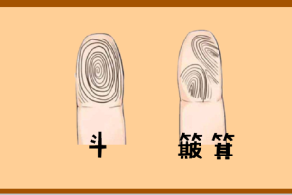 六个手指的命格解析:你与众不同的命运之路 六个手指的命格解析:你与众不同的命运之路