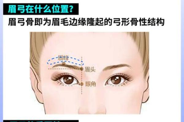 眉毛弯曲与命运的奇妙关系:探寻命理中的美学奥秘 眉毛弯曲与命运的奇妙关系:探寻命理中的美学奥秘