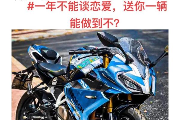 爱与机车:老公的两轮梦想与我的陪伴 爱与机车:老公的两轮梦想与我的陪伴