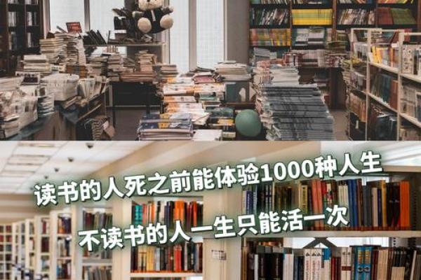 命的意义与救赎:探寻生命中的希望与力量 命的意义与救赎:探寻生命中的希望与力量