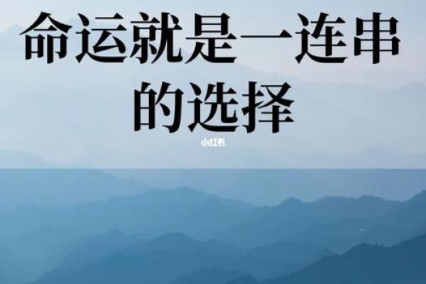 命格揭秘:男人命运的多样性与人生选择 命格揭秘:男人命运的多样性与人生选择