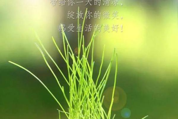 命不由天,逐梦人生的勇气与坚持 命不由天,逐梦人生的勇气与坚持
